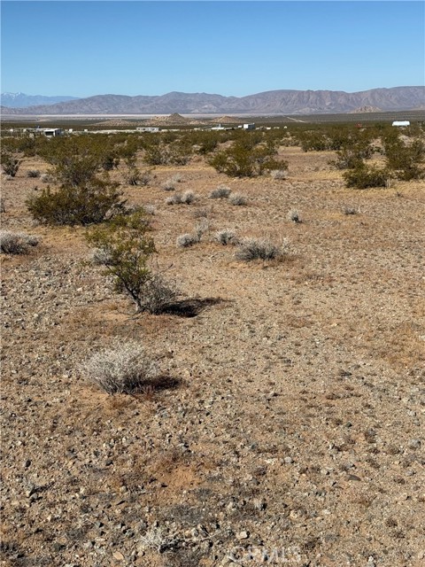 Detail Gallery Image 6 of 8 For 0 Shapaval Ave, Lucerne Valley,  CA 92356 - – Beds | – Baths