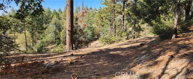 0 TRAILS END Road, Green Valley Lake, California 92341, ,Land,For Sale,0 TRAILS END Road,CRRW22222974