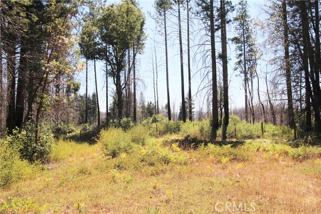 Detail Gallery Image 39 of 43 For 268 Milsap Bar Rd, Berry Creek,  CA 95916 - 3 Beds | 1 Baths