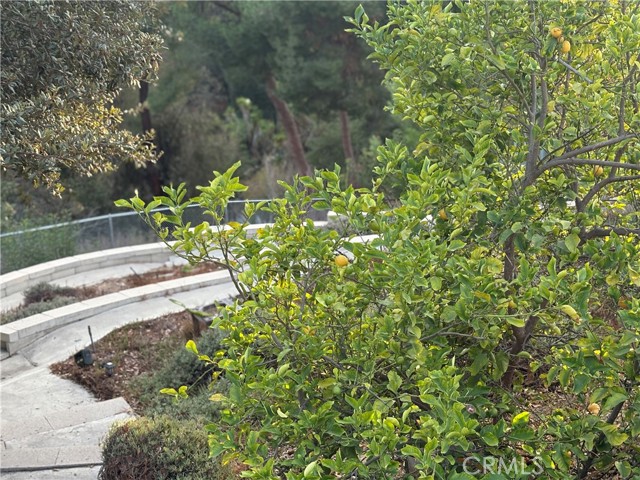 Detail Gallery Image 44 of 50 For 21614 Fairwind Ln, Diamond Bar,  CA 91765 - 4 Beds | 2 Baths