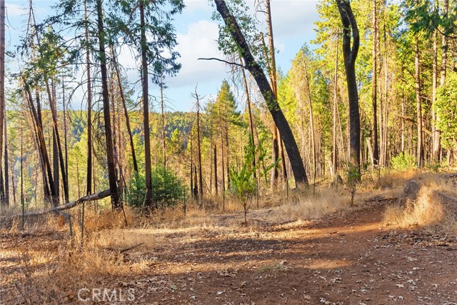 Detail Gallery Image 47 of 52 For 14177 Racine Cir, Magalia,  CA 95954 - 4 Beds | 3 Baths