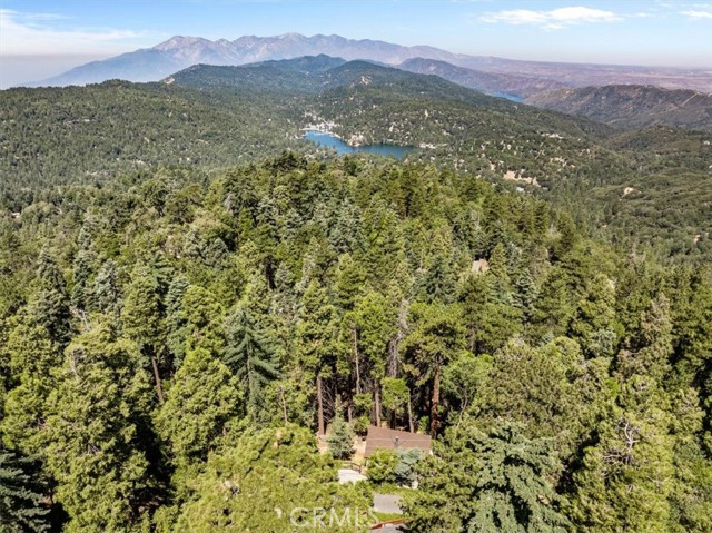 Detail Gallery Image 5 of 36 For 25576 Hi Ln, Twin Peaks,  CA 92391 - 3 Beds | 1 Baths