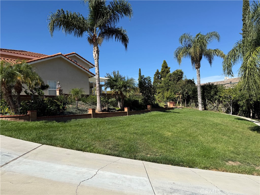 MLS #CV25244342 image #8