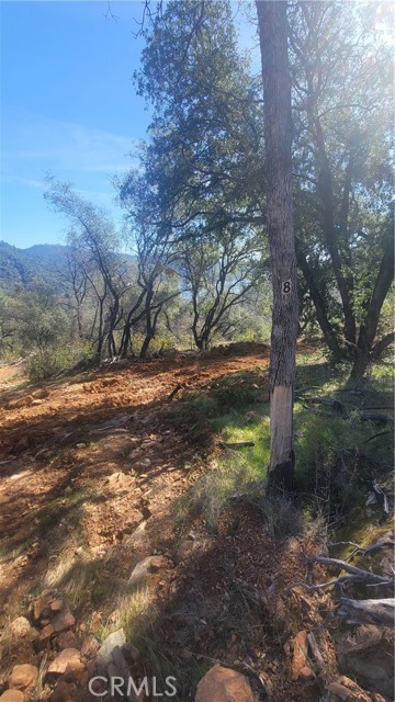 0 Condor, Oroville CA: https://media.crmls.org/medias/c1690f76-4928-4e32-afff-c57d4fc40e9b.jpg