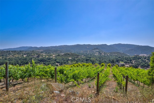 0 Via Herradura, Murrieta CA: https://media.crmls.org/medias/c173068f-2d7b-4690-8304-11281af29db5.jpg