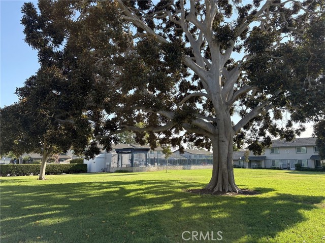 MLS #OC25265062 image #30