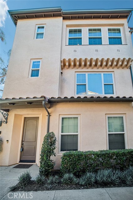 Front Image Thumbnail for CROC25265784