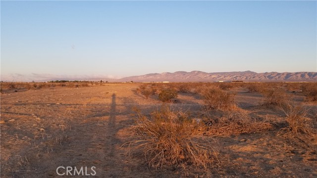 0 Neurelia, California City, CA, 93505 0 Neurelia, California City, CA, 93505