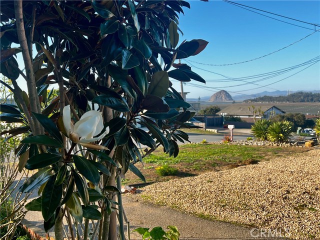 1190 11th Street, Los Osos CA: https://media.crmls.org/medias/c18c49a7-4bd2-474e-aff4-dccc5b30563a.jpg