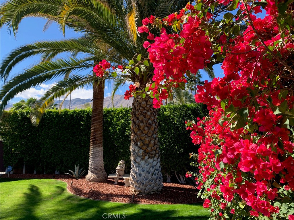 1222 Tamarisk Road