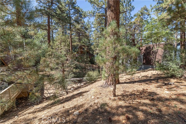 Detail Gallery Image 8 of 14 For 0 Kern Ave, Sugarloaf,  CA 92386 - – Beds | – Baths
