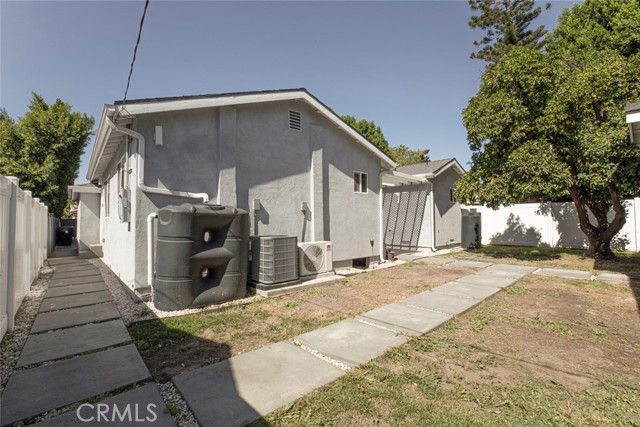 6206 Camellia photo 38