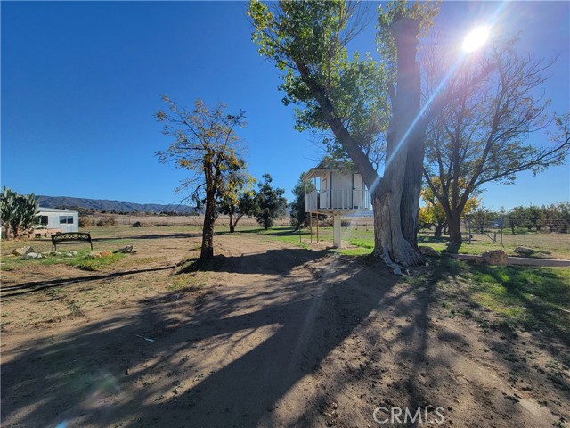 Detail Gallery Image 39 of 48 For 39410 Pioneer, Anza,  CA 92539 - 3 Beds | 2 Baths