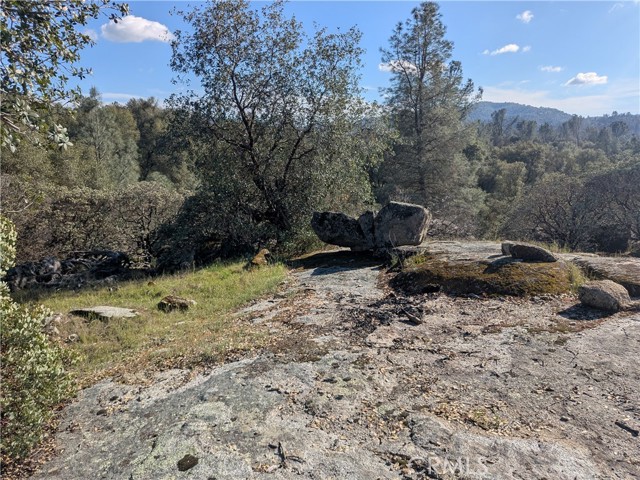 Detail Gallery Image 21 of 25 For 4181 Burl, Mariposa,  CA 95338 - – Beds | – Baths