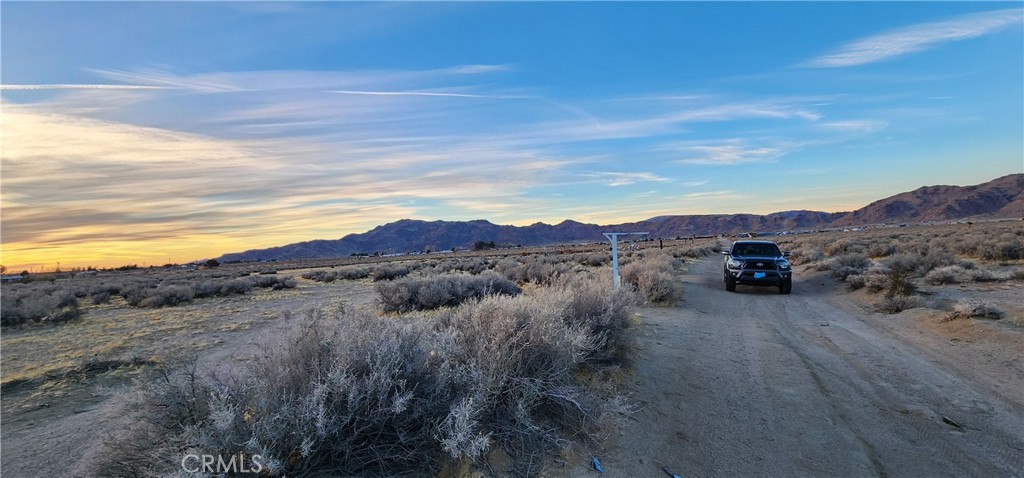 MLS #IV25049226 img 12