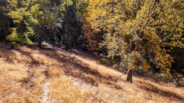 Detail Gallery Image 17 of 40 For 0 Mojave River Rd, Cedarpines Park,  CA 92322 - – Beds | – Baths