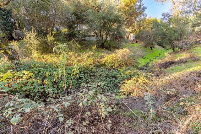 Detail Gallery Image 45 of 55 For 89 Glen, Oroville,  CA 95966 - 4 Beds | 3 Baths