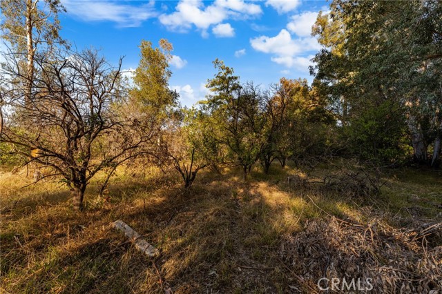 Detail Gallery Image 22 of 41 For 2700 Mill Creek Rd, Mentone,  CA 92359 - 5 Beds | 4 Baths