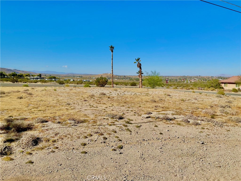 MLS #JT25259436 image #7