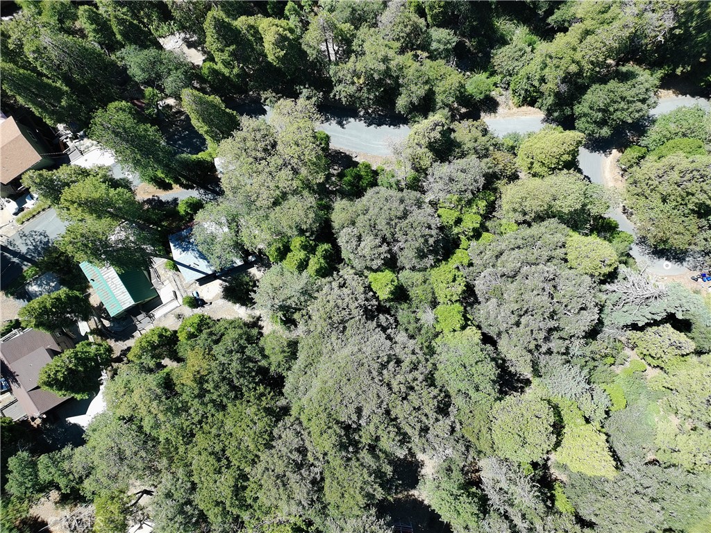 MLS #IG25222009 image #5