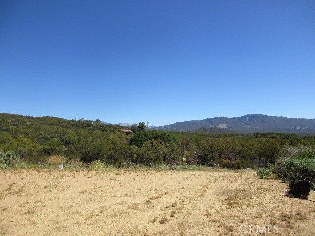 38111 Manzanita Mountain Lane, Anza CA: https://media.crmls.org/medias/c1bbd3b2-fa10-4296-862a-91cdd044a373.jpg