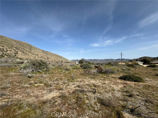 Detail Gallery Image 4 of 4 For 49680 Oskar Ln, Morongo Valley,  CA 92256 - – Beds | – Baths