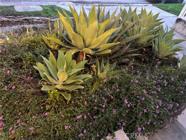 Detail Gallery Image 42 of 46 For 1433 S Beverly Dr, Los Angeles,  CA 90035 - 3 Beds | 2/1 Baths