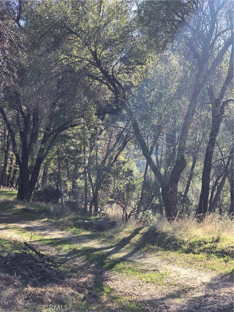https://media.crmls.org/medias/c1c4c7a2-408d-4144-97fe-1ab975f55ddc.jpg?preset=X-Large