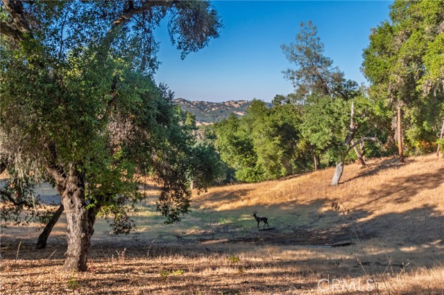 Detail Gallery Image 59 of 75 For 5550 Las Tablas Bay Dr, Paso Robles,  CA 93446 - 4 Beds | 3 Baths