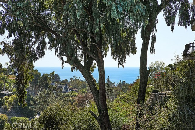 Image 3 for 1233 Dunning Dr, Laguna Beach, CA 92651