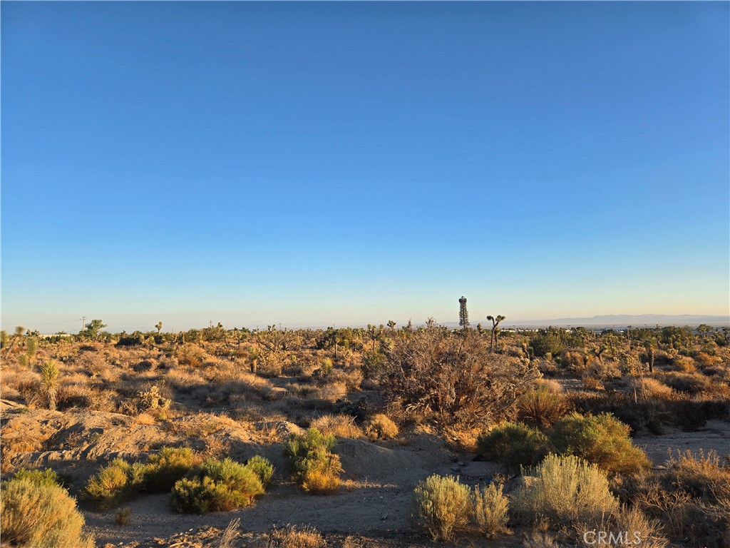 MLS #CV25185875 image #6