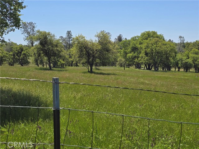 Detail Gallery Image 59 of 75 For 5963 Schilling Road, Coulterville,  CA 95311 - 3 Beds | 3 Baths