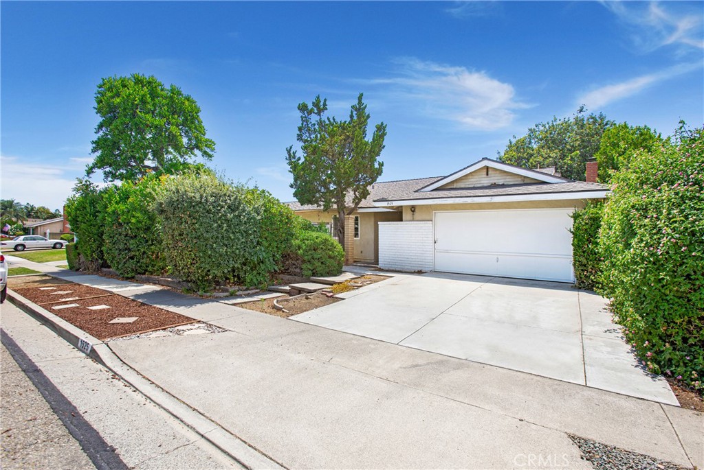 1525 Rogue Street