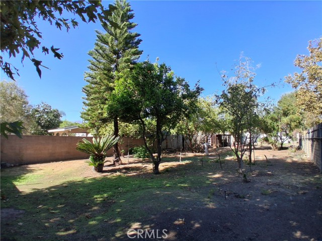 12587 Bradley Avenue photo 35