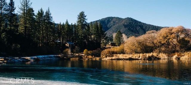 MLS #SR25227741 image #31