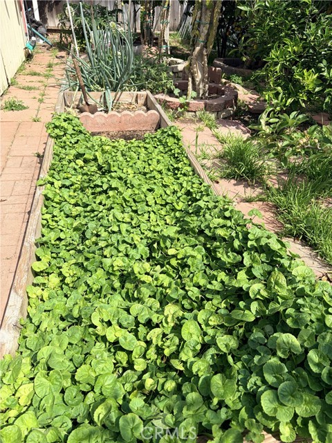 Detail Gallery Image 47 of 49 For 4941 W 130th, Hawthorne,  CA 90250 - 4 Beds | 4 Baths