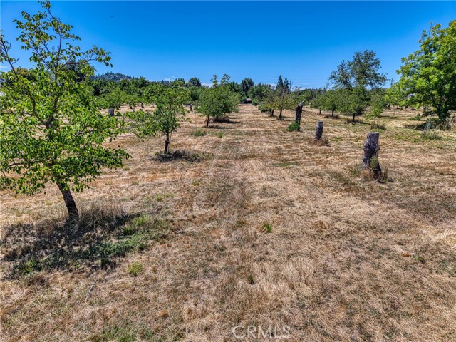 Detail Gallery Image 20 of 31 For 1286 Pitney Ln, Upper Lake,  CA 95485 - – Beds | – Baths