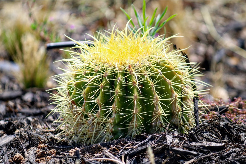 MLS #PW25231303 image #43