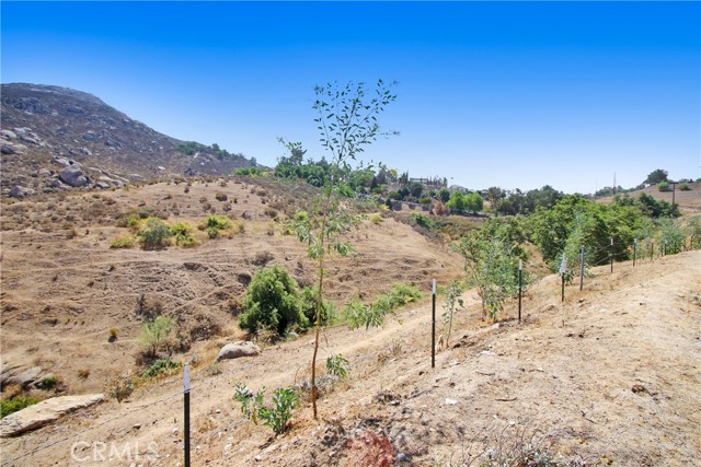 Detail Gallery Image 52 of 66 For 8555 Pigeon Pass Rd, Moreno Valley,  CA 92557 - 4 Beds | 2 Baths