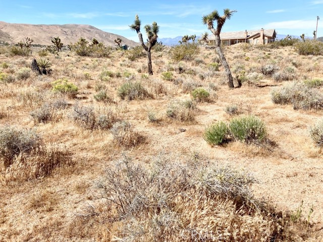 Image 7 of 9 For 9950 Belfast Road