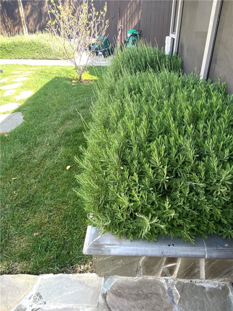 Detail Gallery Image 23 of 27 For 291 N 6th Ave, Upland,  CA 91786 - 2 Beds | 1 Baths