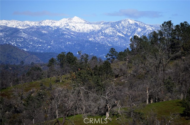 Front Image Thumbnail for CRMD25259196