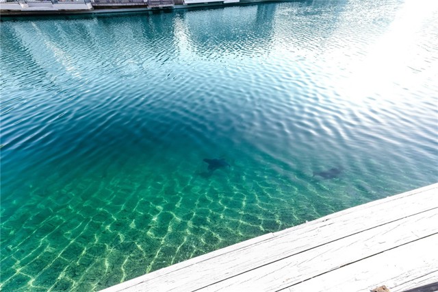 Detail Gallery Image 38 of 45 For 1654 Edgewater Ln, Camarillo,  CA 93010 - 3 Beds | 2/1 Baths