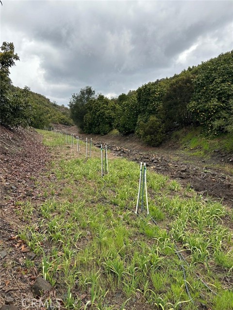 Detail Gallery Image 4 of 11 For 0 via Barranca, Temecula,  CA 92590 - – Beds | – Baths