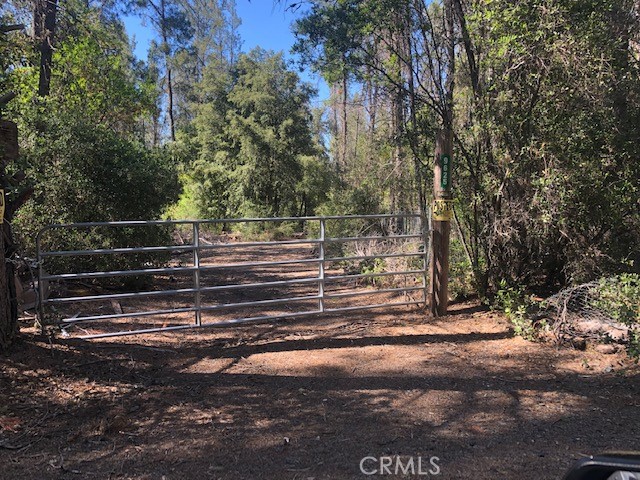 9625 Nancy, Kelseyville, CA, 95451 9625 Nancy, Kelseyville, CA, 95451