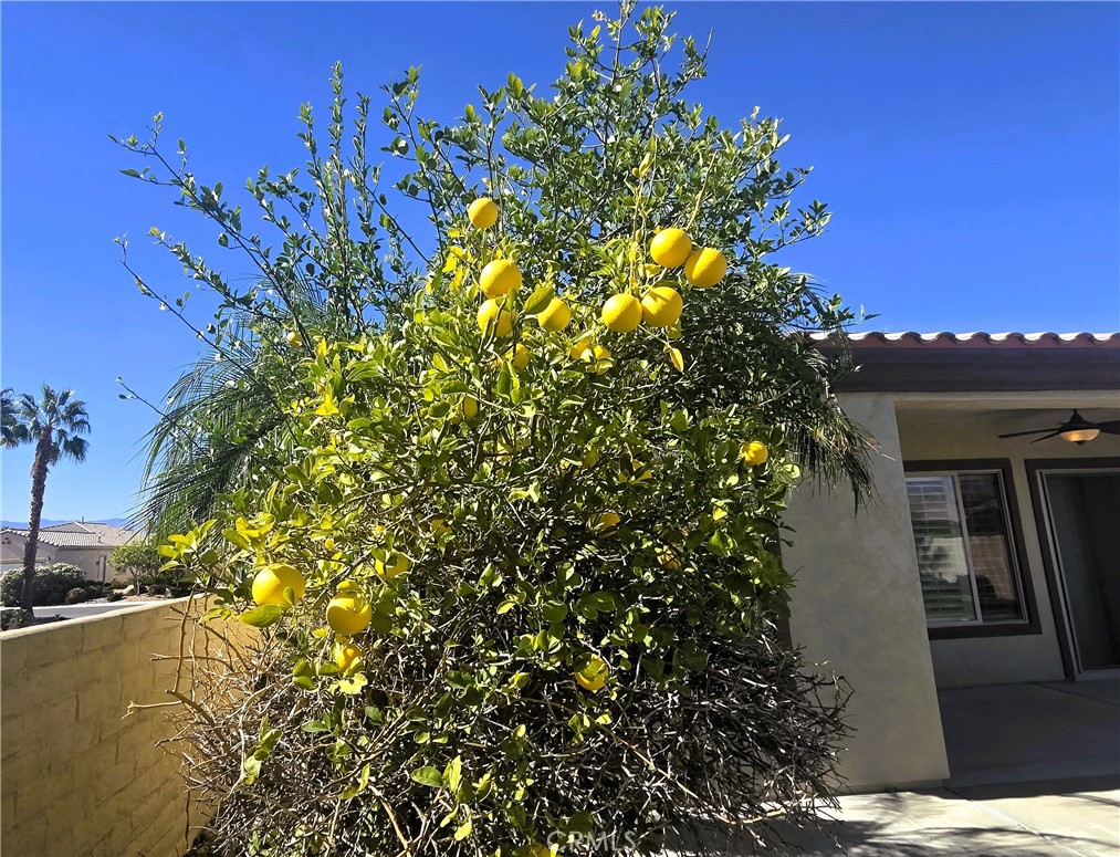 MLS #IG25256311 image #27