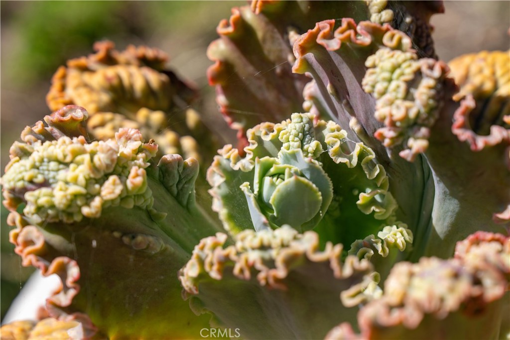 https://media.crmls.org/medias/c219134b-c3f6-4e94-ab10-0b3591737e3a.jpg?preset=X-Large