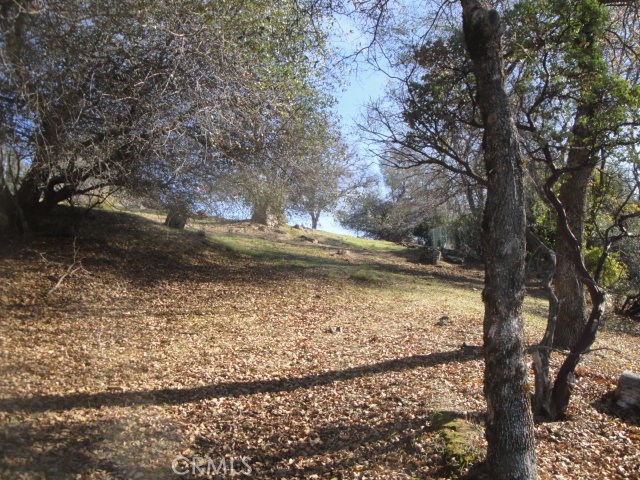 0 Beckwourth Way, Oroville, California 95966, ,Land,For Sale,0 Beckwourth Way,CROR19284461