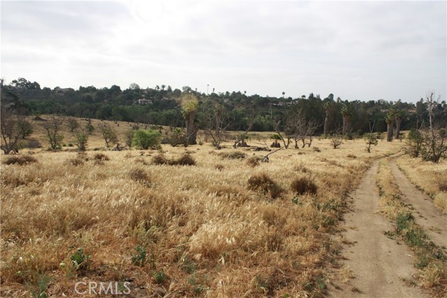0 Winter Haven, Fallbrook, CA, 92028 0 Winter Haven, Fallbrook, CA, 92028