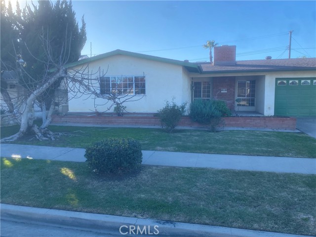 Front Image Thumbnail for CROC26008685